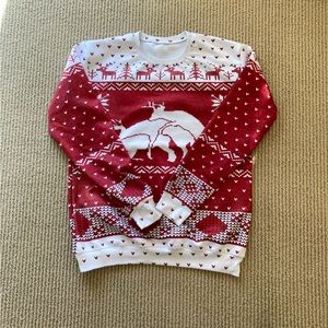 Men’s Ugly Christmas Sweater (Large)